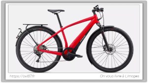 Image du Vado 6 Speedelec de OVL87 à Limoges