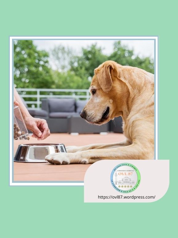 OVL87 la livraison de croquettes à&nbsp;Limoges